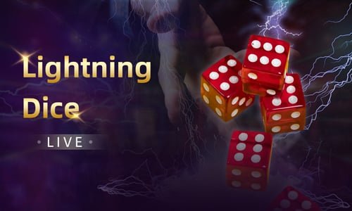 Real-time settlement display showing bet history, dealer actions, and account balance updates